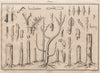 TREES. Greffes (Grafts) 1834 old antique vintage print picture