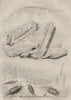 Ichthyosarcolithe. Ichthyosaur fossil. Idie. Idotea (isopod) 1834 old print