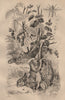 Lantana Camara (Wild Sage). Laphria (Bee-like Robber Fly). Lapin (Rabbit) 1834