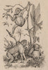 PRIMATES. Orang-Outang. Orangutan 1834 old antique vintage print picture