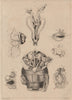 REPRODUCTIVE SYSTEM. Ovologie Ovology II. Eggs. 1834 old antique print picture