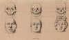 PHRENOLOGY. Petrus Camper's Facial Angles. Frontal facial skulls 1834 print