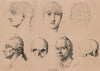 PHRENOLOGY. div. cranium after Gall. Buffon. Descartes. Gluck. Raphaël 1834