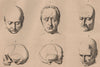 PHRENOLOGY. Stassart. Goethe. Barett. Bouhours. Wurmser. Destainières 1834