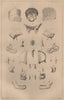 ANATOMY. Bones of the human skull 1834 old antique vintage print picture