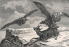 Eagles and Chamois, Switzerland 1891 old antique vintage print picture