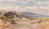 NGUNGURU. On the beach by Frank Wright. New Zealand 1908 old antique print