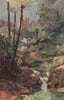 'Tree Ferns' by Frank Wright. New Zealand 1908 old antique print picture