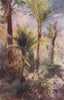 'Nikau Palms' by Frank Wright. New Zealand 1908 old antique print picture