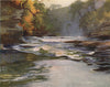 FALLS OF CLYDE. 'The Brink of Corra Linn' by John & Mary Young-Hunter 1907