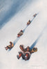 'Tobogganing made easy' by Arnold Henry Savage Landor. Tibet 1905 print