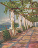 NAPOLI. 'Pergola' by Augustine Fitzgerald. Naples 1904 old antique print