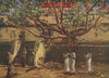 'A sacred Bo-tree' by Allan Stewart. Sri Lanka 1913 old antique print picture