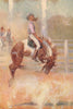 'An Australian buck-jumper' by Percy Spence. Australia. Rodeo 1910 old print