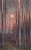 Forest, with trees ring-barked to kill them for clearing, Australia. SPENCE 1910