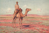 Surveying for the Transcontinental Railway, Australia. Camels. Percy Spence 1910