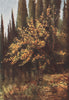 'Autumn tints in the Cypress Valley' by William Scott. Italy 1907 old print