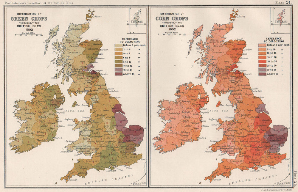 BRITISH ISLES ACRICULTURAL Green & Corn Crops distribution. BARTHOLOMEW 1904 map