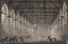 SOUTHAMPTON. The New Riding School. BRANNON 1853 old antique print picture