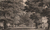 SOUTHAMPTON. The Avenue. BRANNON 1853 old antique vintage print picture