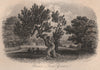 SOUTHAMPTON. Peartree Green. BRANNON 1853 old antique vintage print picture