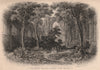 SOUTHAMPTON. Netley Abbey. BRANNON 1853 old antique vintage print picture