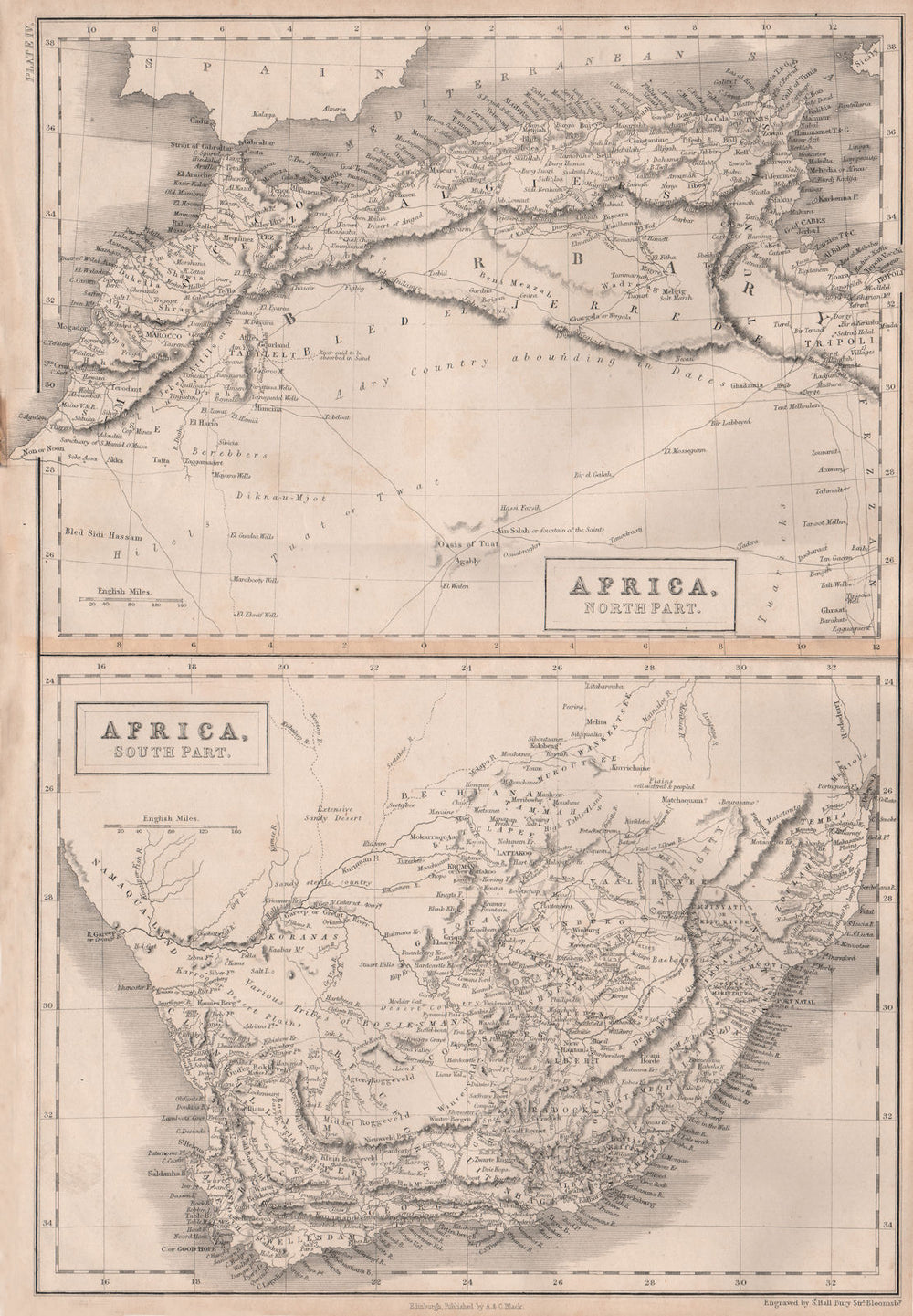 NORTH AFRICA & SOUTH AFRICA. Barbary Coast. Maghreb Morocco. BRITANNICA 1860 map