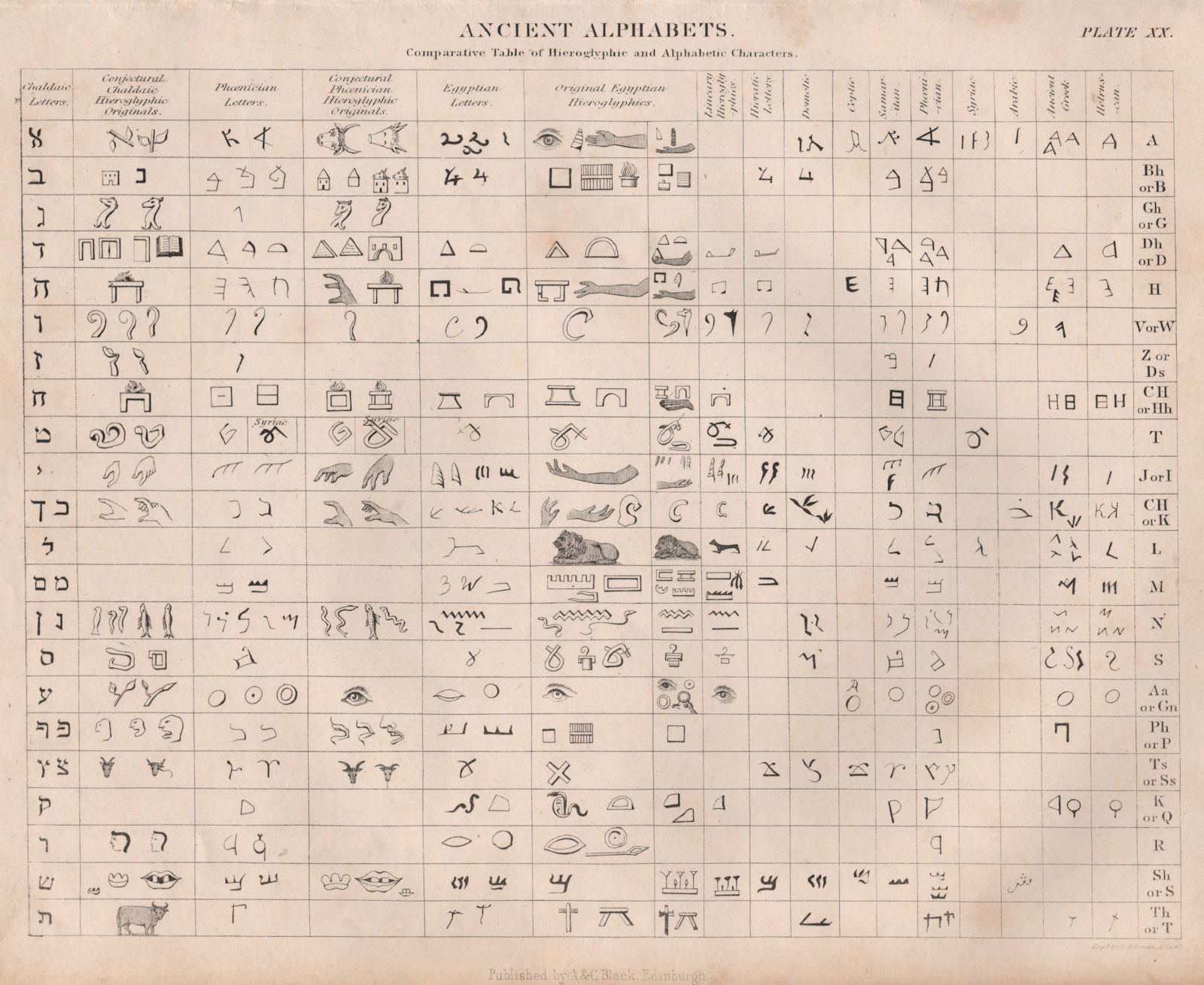 Ancient Alphabets. Hieroglyphic Chaldaic Phoenician Egyptian Helruscan ...