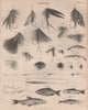 Angling. Fish hooks. Fishhooks. BRITANNICA 1860 old antique print picture