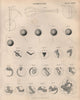 Astronomy. Planets. BRITANNICA 1860 old antique vintage print picture