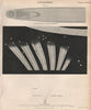 Astronomy. Kirch's comet (1680). Great comet de Chéseaux (1744). BRITANNICA 1860
