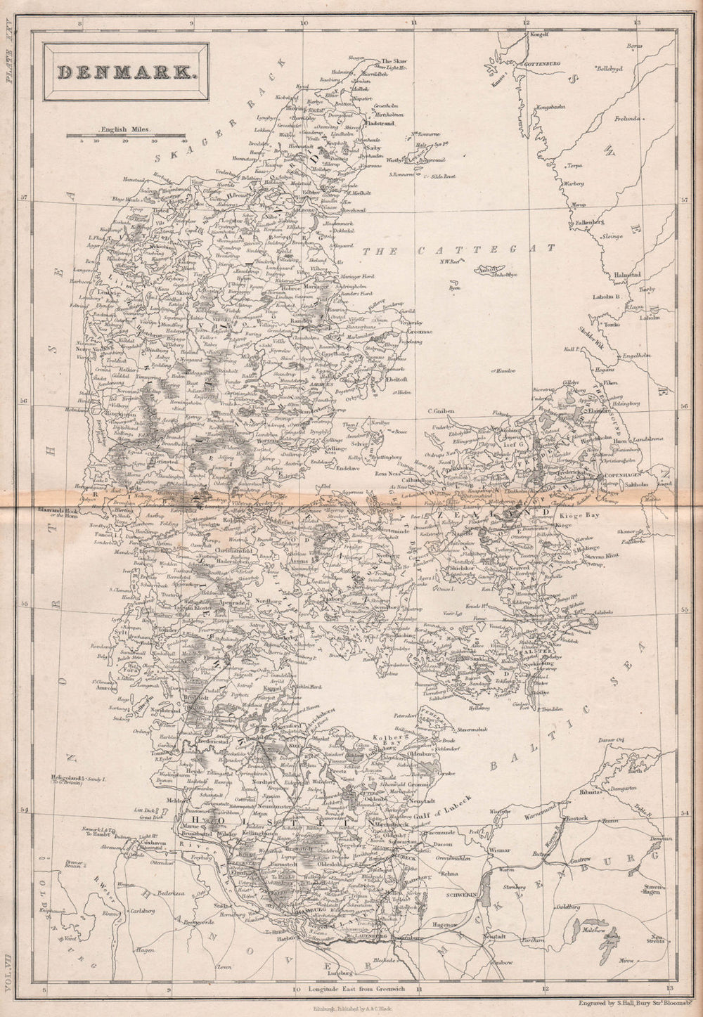 Denmark including Schleswig Holstein. BRITANNICA 1860 old antique map chart