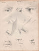 Figurative drawing. Eyes nose. BRITANNICA 1860 old antique print picture