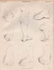 Figurative drawing. Feet legs calves. BRITANNICA 1860 old antique print