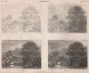 Drawing. Outline; First Progression; Second Progression; Finished landscape 1860