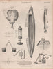 Electric fish. Torpedo ray; Gymnotus; Silurus. Catfish electric knifefish 1860