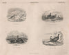 GAMES BIRDS. Ptarmigan Partridges Red Grouse Pheasants. BRITANNICA 1860 print