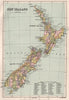 New Zealand. 1876 counties. BARTHOLOMEW 1886 old antique map plan chart