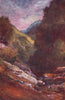 'The Devil's Glen, Wicklow' by Francis Sylvester Walker. Ireland 1905 print