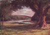 'The Vale of Avoca' by Francis Sylvester Walker. Ireland 1905 old print