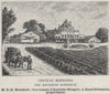 MÉDOC. CUSSAC. Chateau Bernones (Cru Bourgeois Supérieur). Brunkow. SMALL 1908