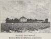 GRAVES. LÉOGNAN. Chateau Haut-Bailly. Minièress. Bordeaux. SMALL 1908 print