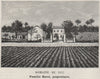 GRAVES. LÉOGNAN. Domaine du Luc. Baret. Bordeaux. SMALL 1908 old antique print