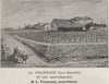 La Collégiale (Clos Ramonet) (1er Cru Saint-Émilion). Bordeaux. SMALL 1908