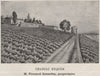 BOURGEAIS. BAYON. Chateau Eyquem. Bonnefon. Bordeaux. SMALL 1908 old print