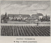 BLAYAIS. PLASSAC. Chateau Peyrebrune. Allard. Bordeaux. SMALL 1908 old print