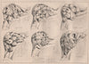 Eye Church. elbow rests carvings; James K. Colling Architect. Suffolk 1869