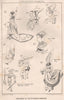 Costumes of the fifteenth century 1874 old antique vintage print picture