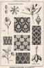 Goose-Grass Whip-Tongue or Cleavers; Floral design by T.E. Hulme  1875 print