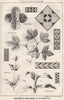 Suggestions in Floral; Design by F.E. Hulme F.S.A.. Decorative 1875 old print